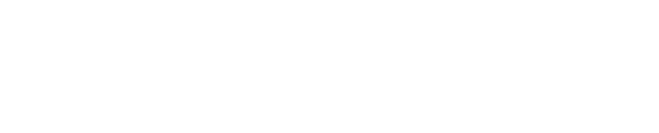 LeeVasi-Logo-White